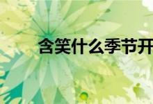 含笑什么季节开放（含笑开花时间）