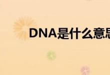 DNA是什么意思啊（DNA的解释）