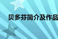 贝多芬简介及作品（关于贝多芬的简介）