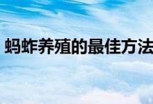 蚂蚱养殖的最佳方法（蚂蚱的养殖技术详解）