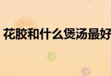 花胶和什么煲汤最好（花胶煲汤最好的搭配）