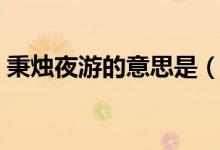 秉烛夜游的意思是（秉烛夜游的意思是什么）
