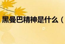 黑曼巴精神是什么（大家喜欢黑曼巴精神吗）
