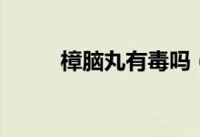樟脑丸有毒吗（樟脑丸有没有毒）