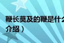 鞭长莫及的鞭是什么意思（鞭长莫及意思简单介绍）
