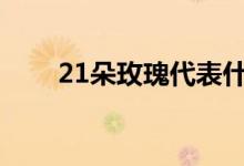 21朵玫瑰代表什么意思（玫瑰花语）