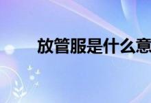放管服是什么意思（放管服的解释）