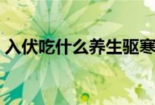 入伏吃什么养生驱寒（入伏养生驱寒的食物）
