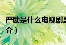 严励是什么电视剧里的人物(严励的电视剧简介)