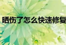 晒伤了怎么快速修复（晒伤了快速修复方法）