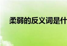 柔弱的反义词是什么（柔弱的相反词语）
