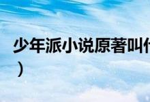 少年派小说原著叫什么名字（少年派剧情简介）