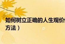 如何树立正确的人生观价值观（树立正确的人生观价值观的方法）