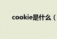 cookie是什么（cookie指的是什么）