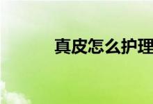真皮怎么护理（如何保养真皮）