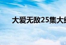 大爱无敌25集大结局（结局剧情内容）