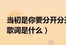 当初是你要分开分开就分开歌词是什么意思（歌词是什么）