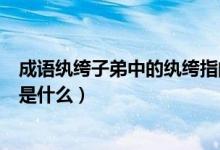 成语纨绔子弟中的纨绔指的是（成语纨绔子弟中的纨绔指的是什么）