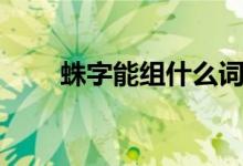 蛛字能组什么词（蛛字组词有哪些）