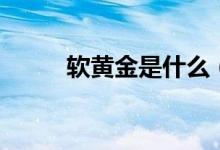 软黄金是什么（软黄金内容介绍）