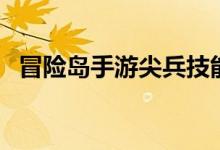 冒险岛手游尖兵技能加点（手游技能加点）