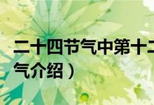 二十四节气中第十二个节气是什么（二十四节气介绍）