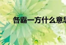 各霸一方什么意思（各霸一方的含义）