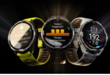 Garmin 简化 alpha 和 beta 智能手表软件分发