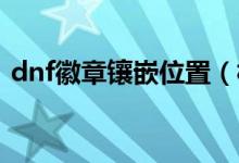 dnf徽章镶嵌位置（相应的部位颜色是什么）