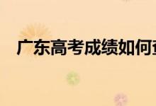广东高考成绩如何查询（有以下5种方式）