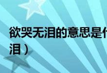 欲哭无泪的意思是什么意思（怎么理解欲哭无泪）