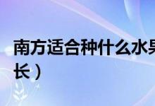 南方适合种什么水果（什么水果适合在南方生长）