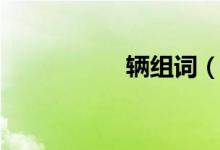 辆组词（辆组词介绍）