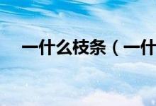 一什么枝条（一什么枝条填空的量词有）
