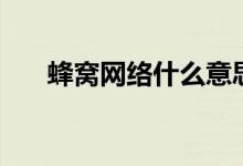 蜂窝网络什么意思呢（蜂窝网络解释）