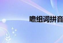 瞻组词拼音（汉字瞻组词）