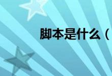 脚本是什么（关于脚本的介绍）