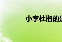 小李杜指的是（小李杜是谁）