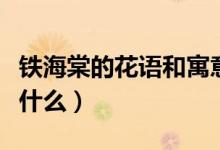 铁海棠的花语和寓意（铁海棠的花语和寓意是什么）
