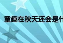 童趣在秋天还会是什么呢你会用它做什么呢
