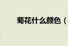菊花什么颜色（菊花什么颜色介绍）