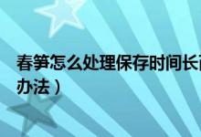 春笋怎么处理保存时间长而新鲜（春笋保存时间长而新鲜的办法）
