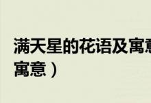 满天星的花语及寓意是什么（满天星的花语和寓意）