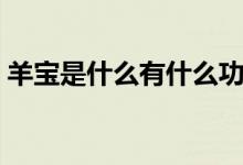 羊宝是什么有什么功效（羊宝的功效有哪些）