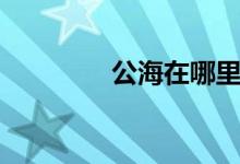 公海在哪里（公海的含义）