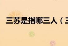 三苏是指哪三人(三苏是指的是哪三个人)