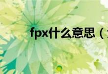 fpx什么意思（大多男生都知道它）