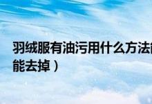 羽绒服有油污用什么方法能去掉（羽绒服有油污用哪些方法能去掉）