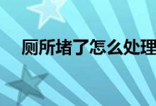 厕所堵了怎么处理（厕所堵了怎么解决）