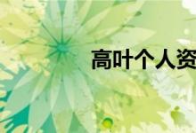 高叶个人资料（高叶介绍）